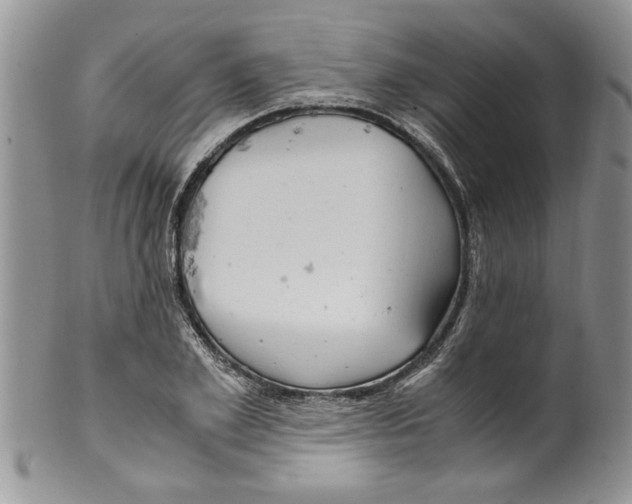 X0000099530981200806131124