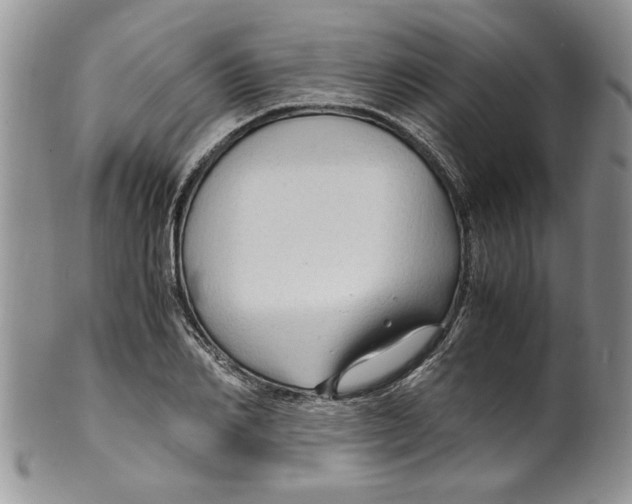 X0000099530982200806131124