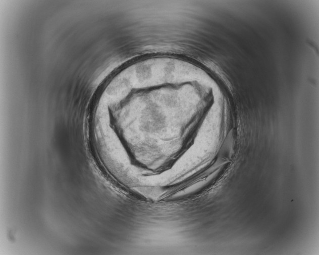 X0000099530983200806131124