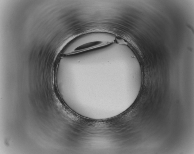 X0000099530984200806131124