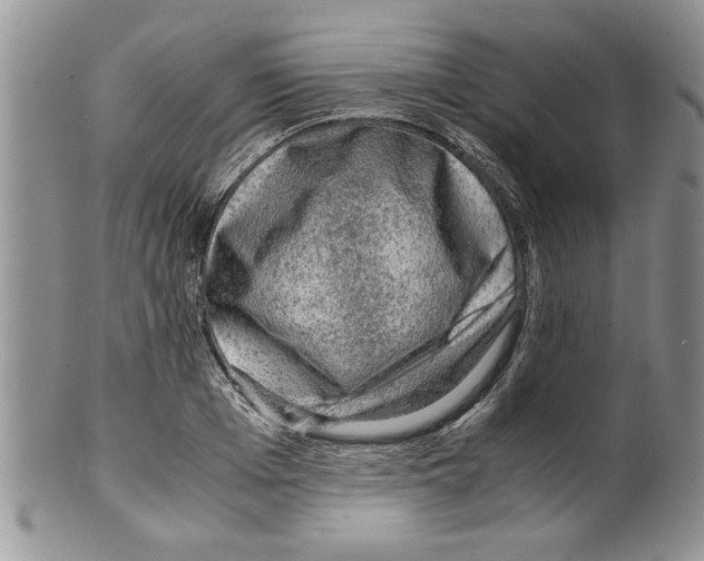 X0000099530985200806131123