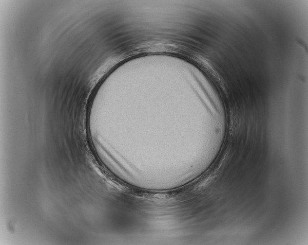 X0000099530986200806131123