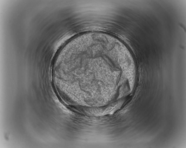 X0000099530987200806131123