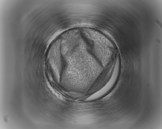 X0000099530989200806131123