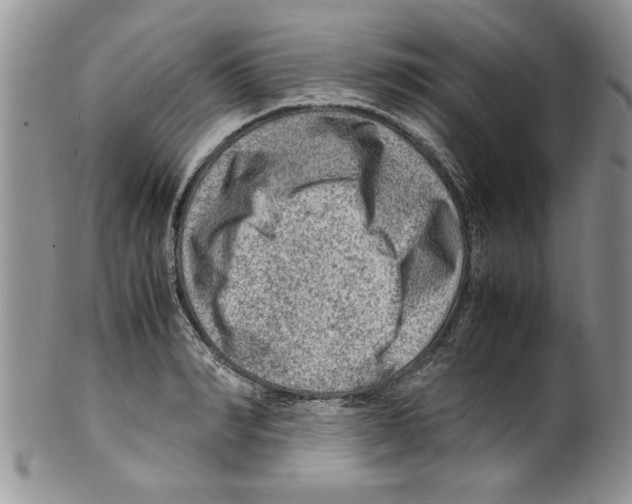 X0000099530990200806131123