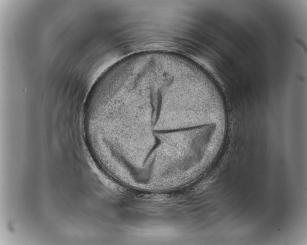 X0000099530991200806131123