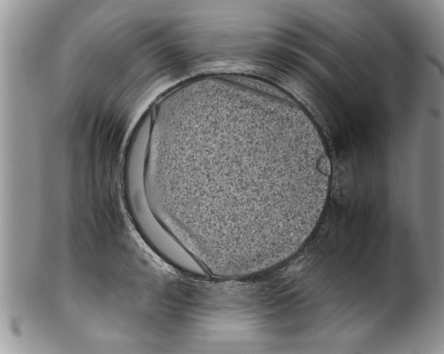 X0000099530992200806131123