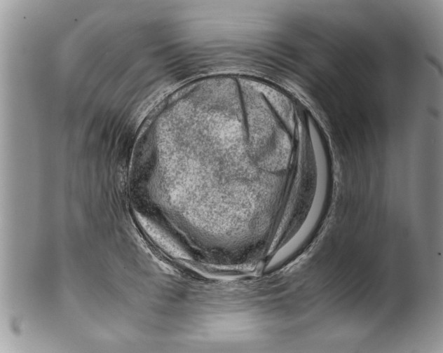 X0000099530993200806131123