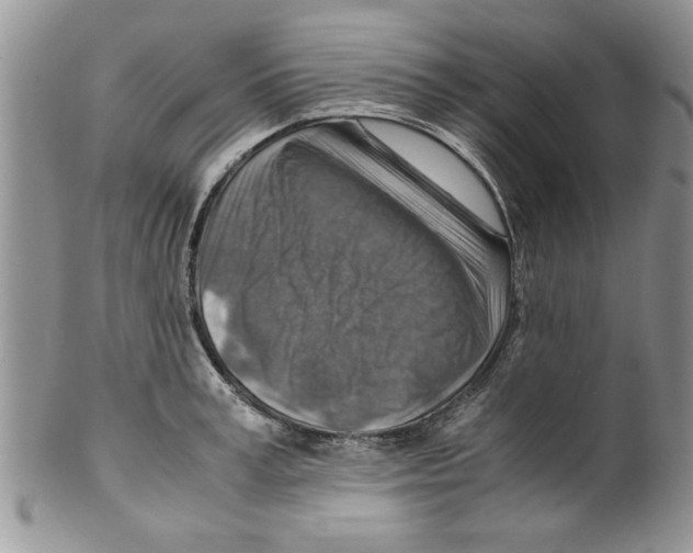 X0000099530995200806131123