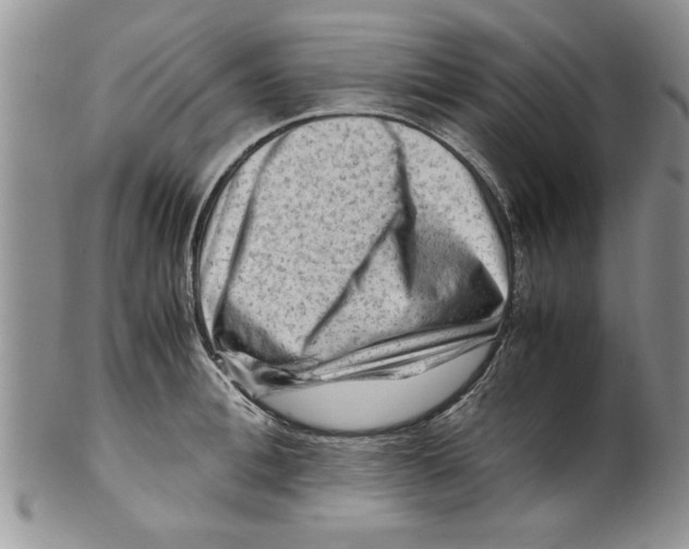 X0000099530996200806131123