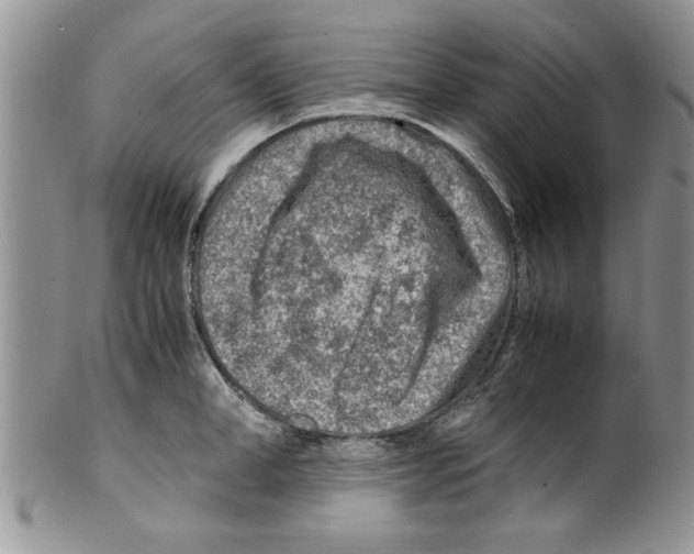 X0000099530998200806131123