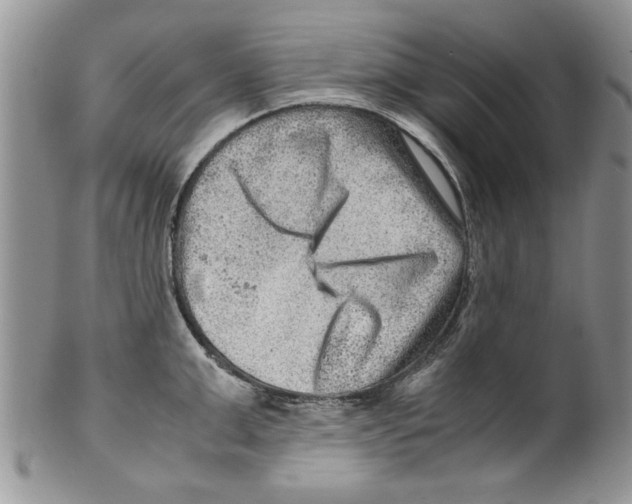 X0000099530999200806131123