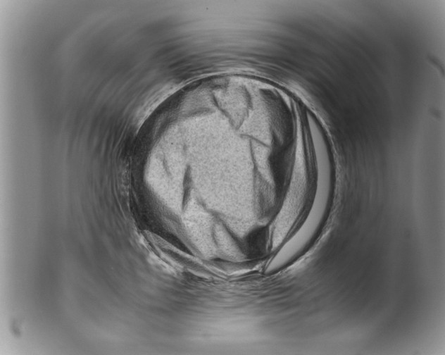 X0000099531001200806131123