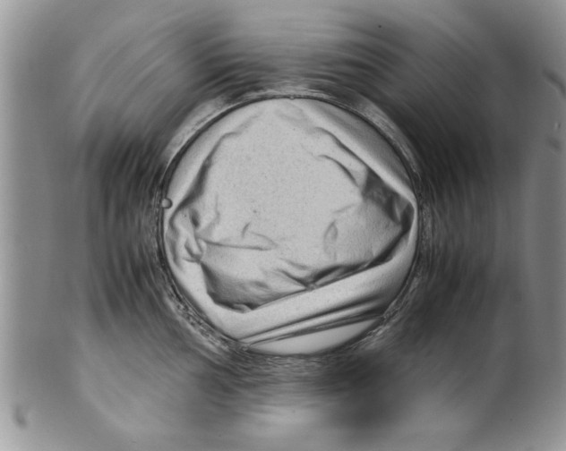 X0000099531002200806131123