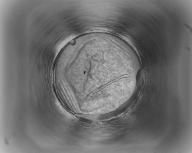 X0000099531003200806131123