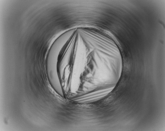 X0000099531004200806131123