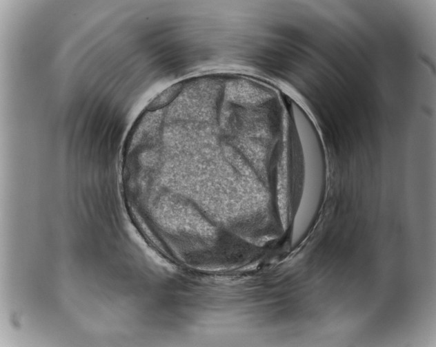 X0000099531005200806131123