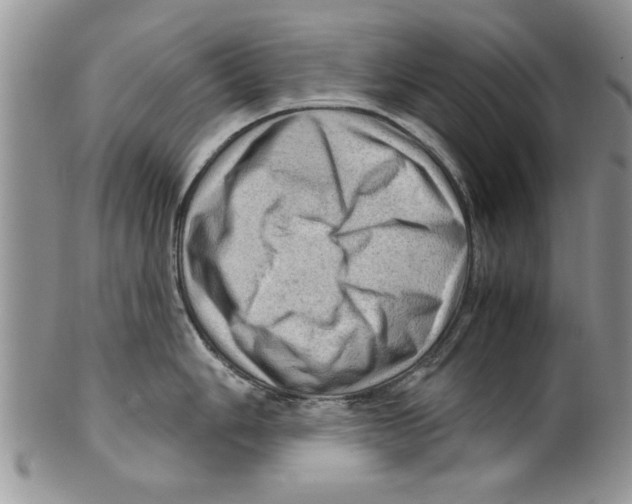 X0000099531006200806131123