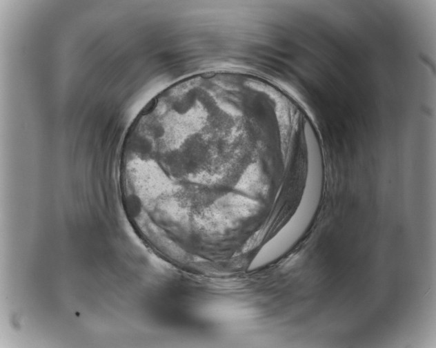 X0000099531007200806131123