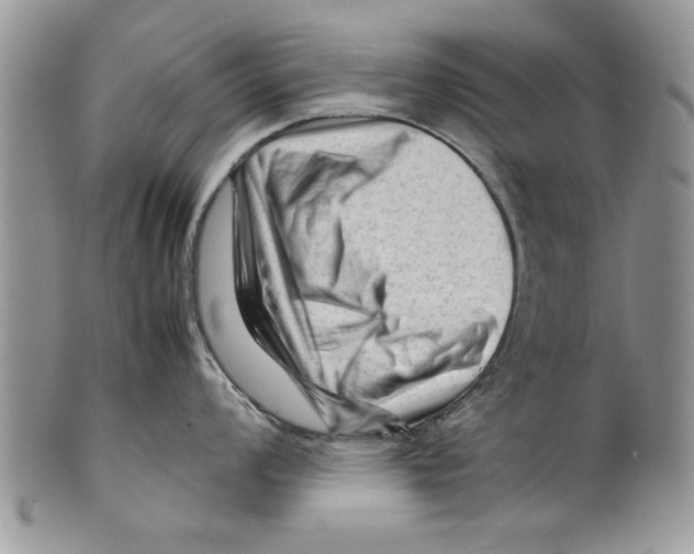 X0000099531008200806131123