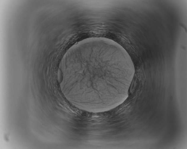 X0000099531009200806131123