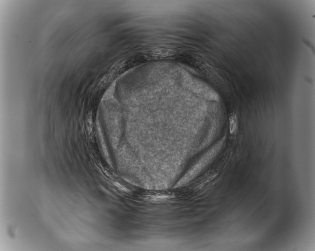 X0000099531011200806131123