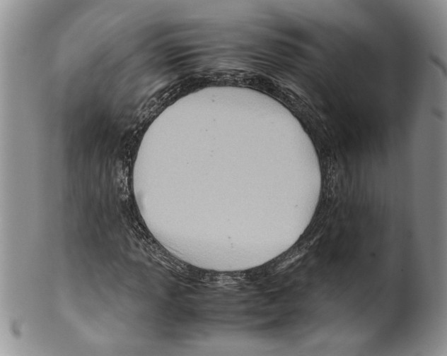 X0000099531013200806131123