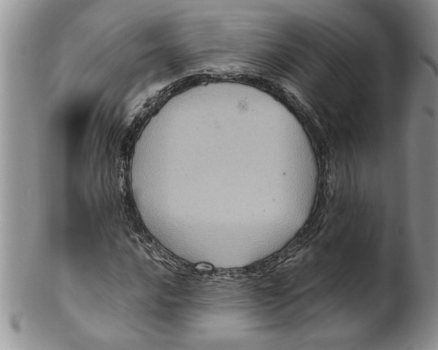 X0000099531016200806131123