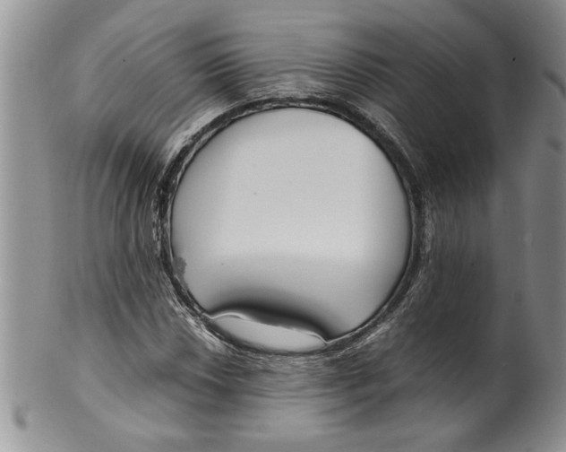 X0000099531018200806131123