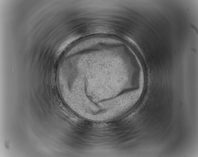 X0000099531019200806131123