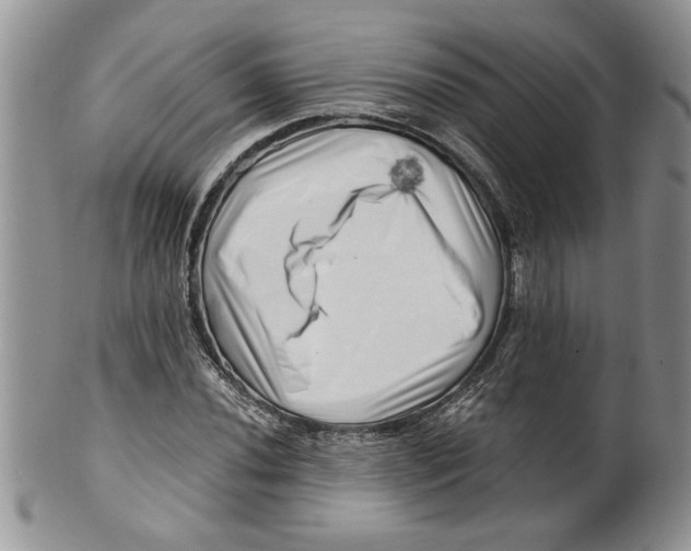 X0000099531020200806131123