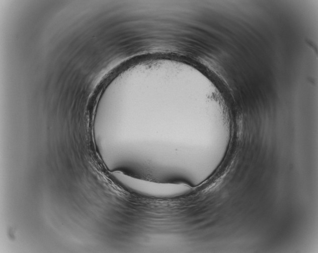 X0000099531021200806131123