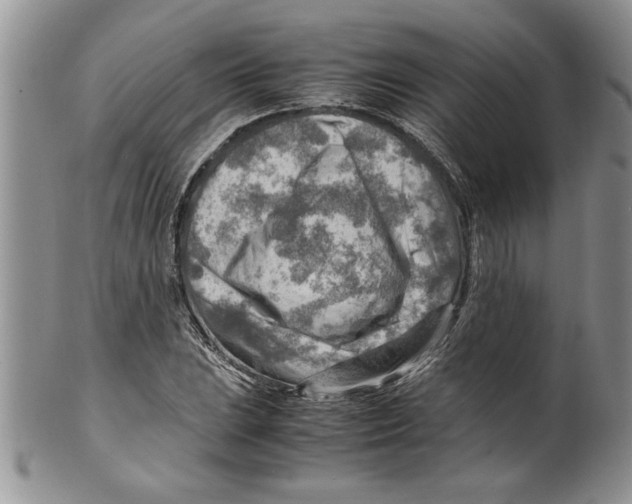 X0000099531023200806131123