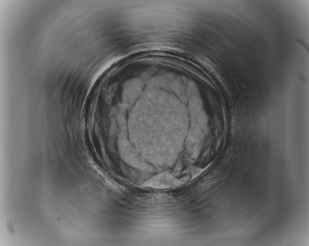 X0000099531024200806131123