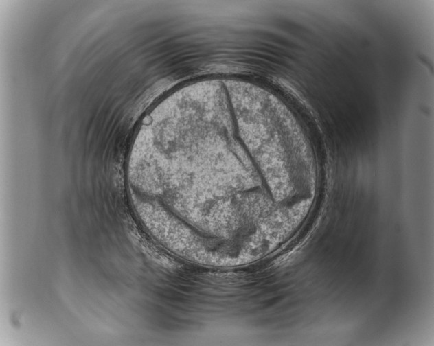 X0000099531025200806131123