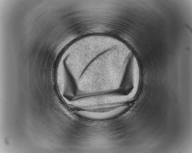 X0000099531026200806131123