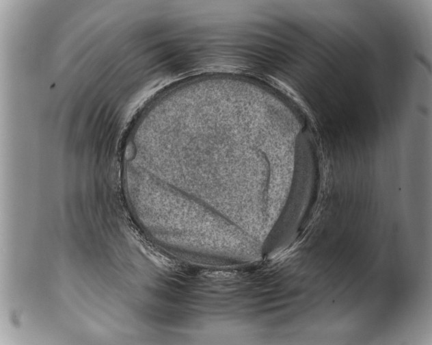 X0000099531027200806131123