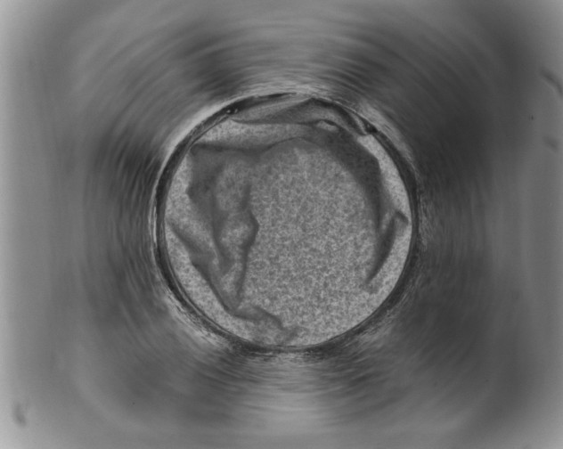 X0000099531028200806131123