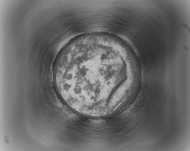 X0000099531031200806131123