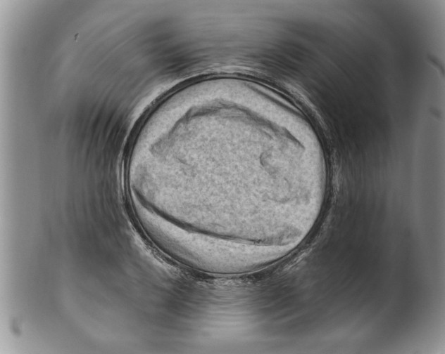 X0000099531032200806131123