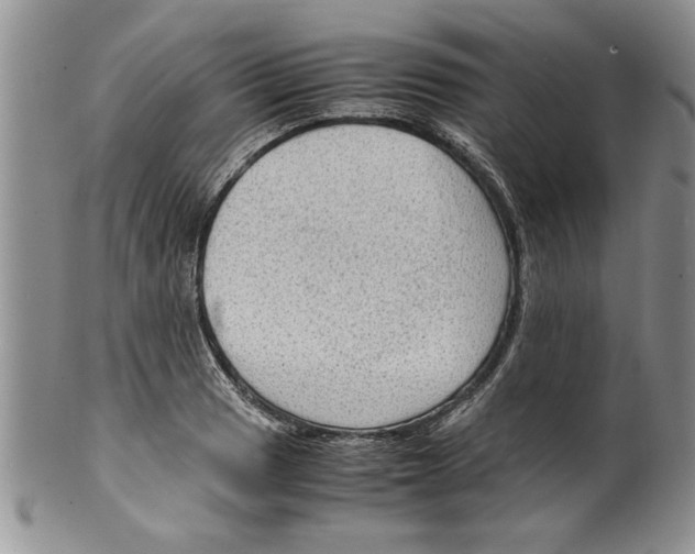 X0000099531033200806131123