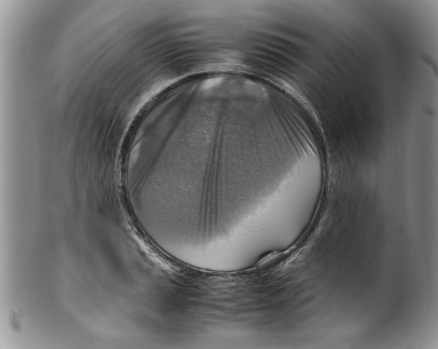 X0000099531037200806131123