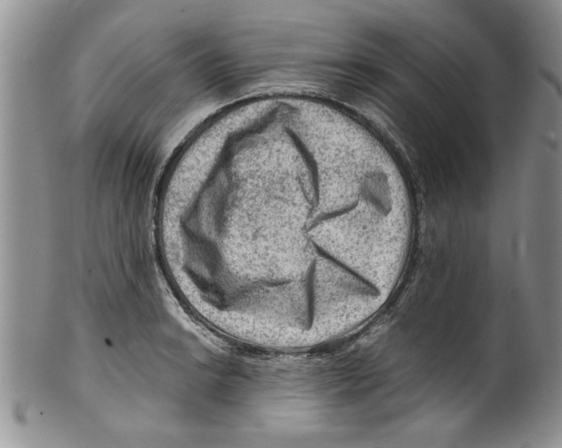 X0000099531038200806131123