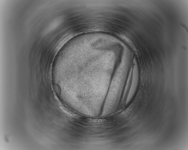 X0000099531039200806131123