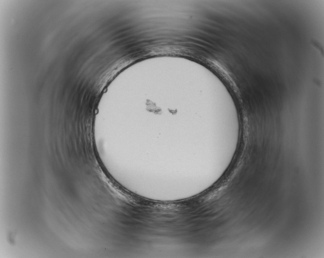 X0000099531041200806131123