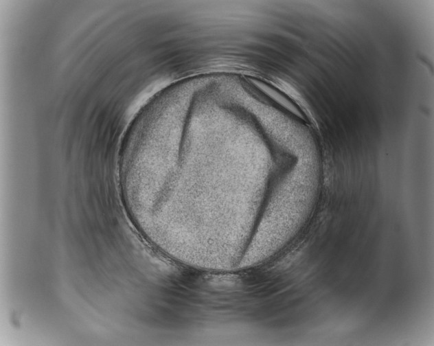 X0000099531043200806131123