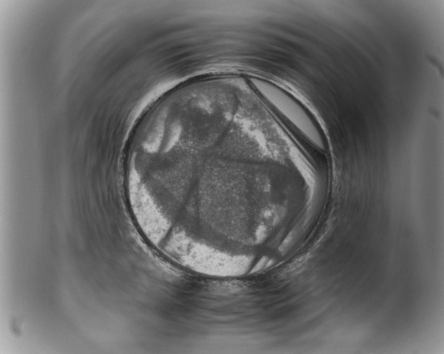 X0000099531045200806131123