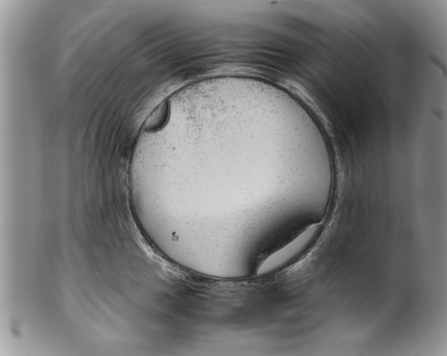 X0000099531049200806131123