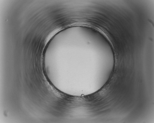 X0000099531050200806131123