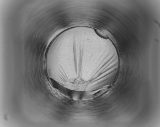 X0000099531052200806131123